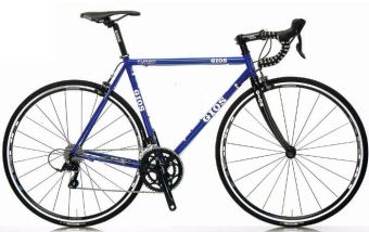 GIOS FENICE