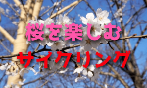 ロードバイクで満開の桜を楽しむサイクリング